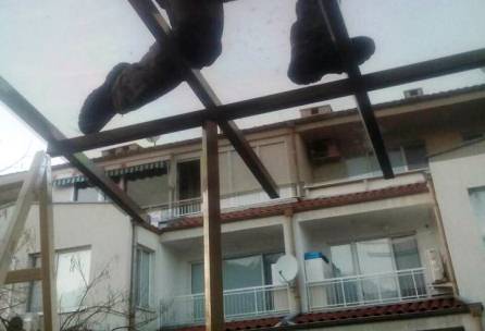 naves 2016 2 small